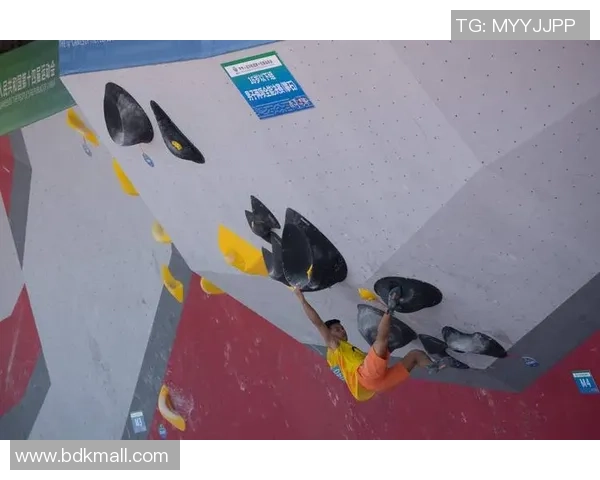 数据分析：西安攀岩队的战术表现